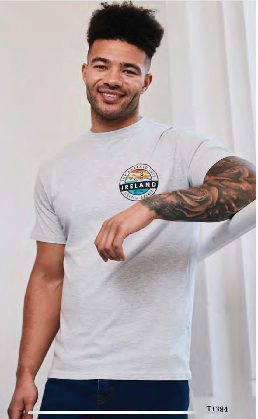 Grey Ireland Emerald Isle Tshirt T1384