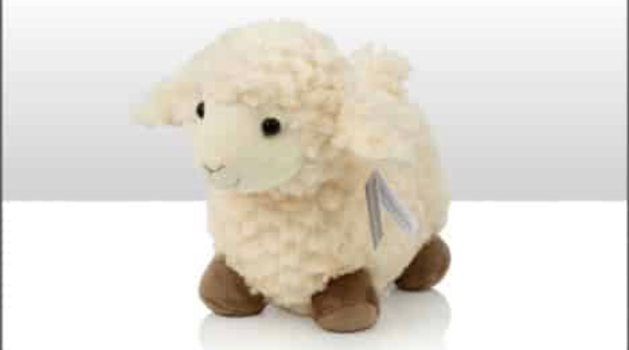 Medium standing lamb