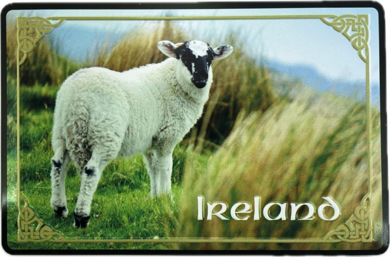 FRIDGE MAGNET LAMB STYLE