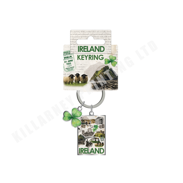 Ireland Collage Range Keyring Ref: 77752