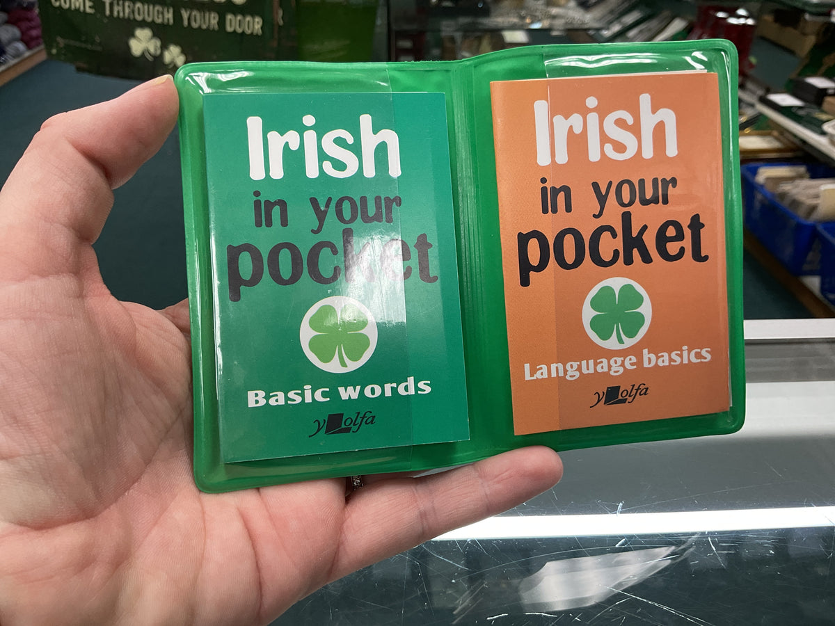 Irish in Your Pocket: Irish Language Basics and Words