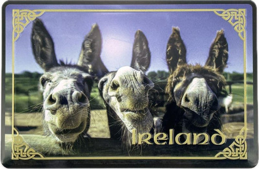 FRIDGE MAGNET DONKEY STYLE