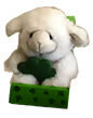 LUCKY SITTING SHAMROCK SHEEP IN BOX