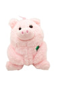 Cuddly Pig with Shamrock