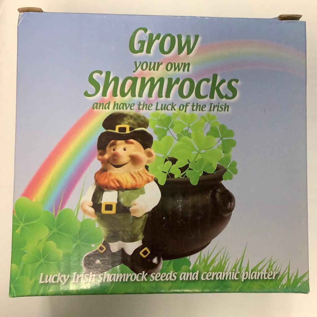 Grow your own shamrocks and have the luck of the Irish