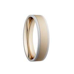 5mm Plain Brushed Gold Wedding Ring with White Rails – Two Tone